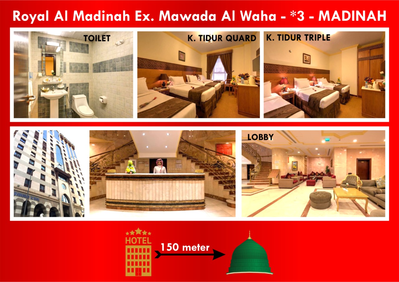 ROYAL ALMADINAH EX MAWADA ALWAHA/SETARAF